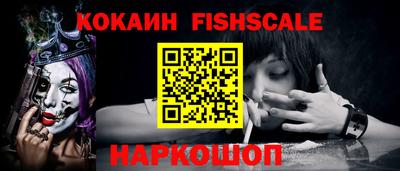бошки Кингисепп