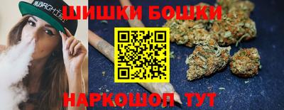 бошки Кингисепп