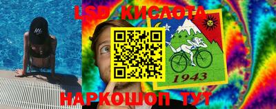 бошки Кингисепп