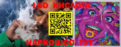 бошки Кингисепп