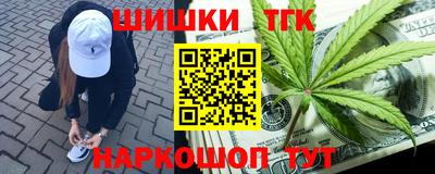 бошки Кингисепп