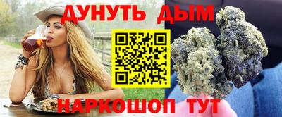 бошки Кингисепп