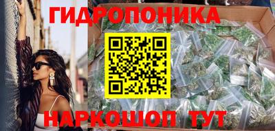 СК Кимры