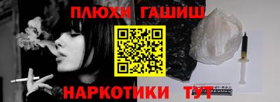 бошки Кингисепп