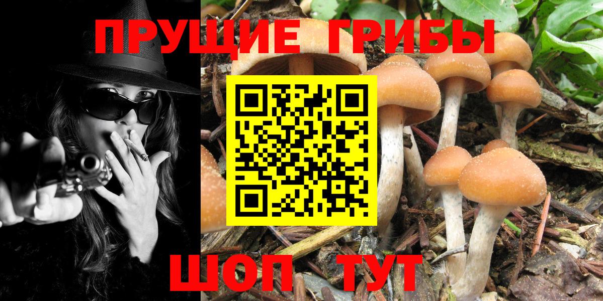 Партизанск  Галлюциногенные грибы Magic Shrooms  Вход с VPN  Галлюциногенные грибы Psilocybe 